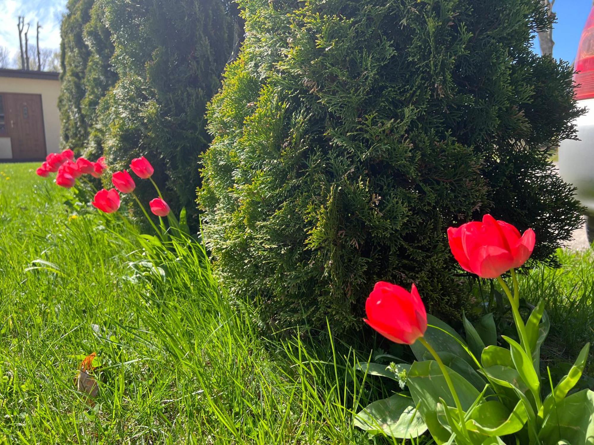 Osrodek Rodzinny "Pod Wydmami" Przy Plazy , Plac Zabaw , Rowery Sarbinowo Bagian luar foto