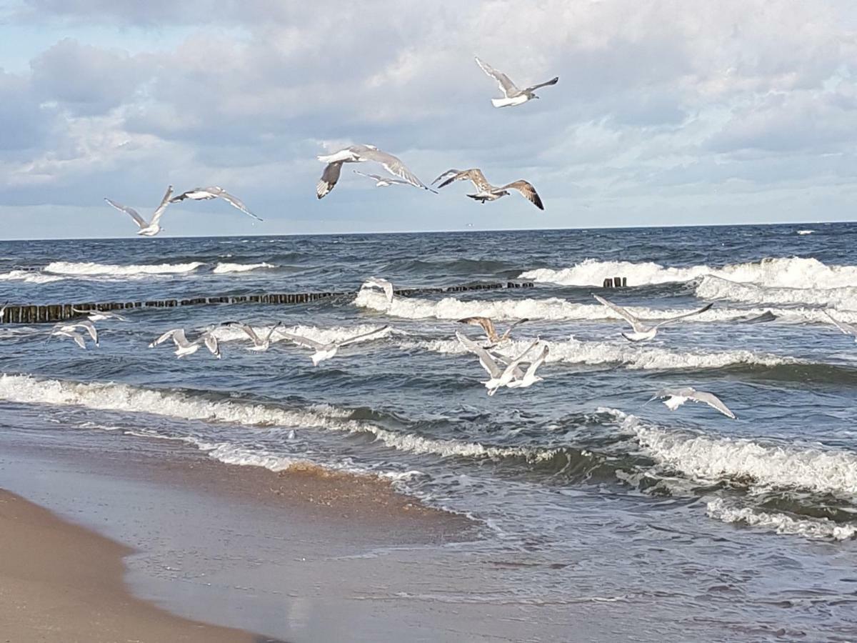 Osrodek Rodzinny "Pod Wydmami" Przy Plazy , Plac Zabaw , Rowery Sarbinowo Bagian luar foto
